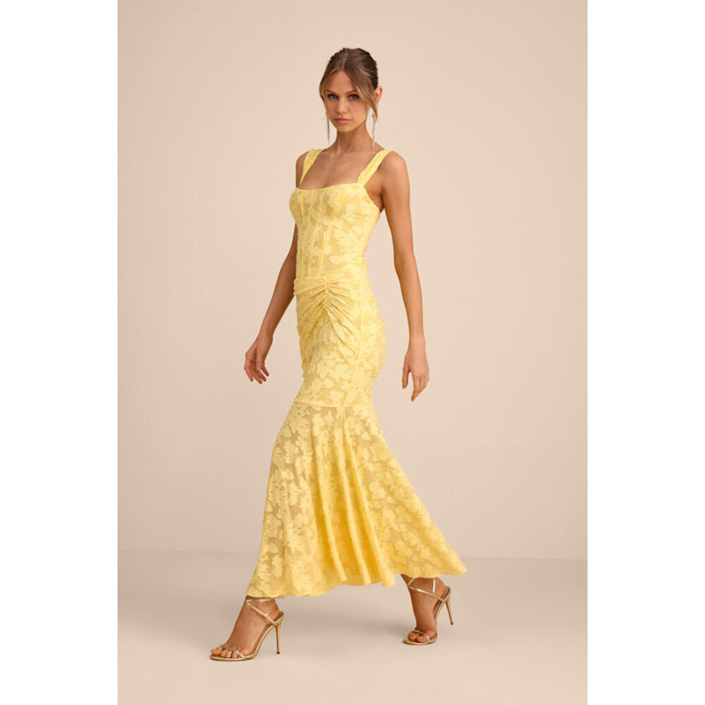 Lulus Celeste Yellow Floral Burnout Bustier Maxi Dress - Size S
SOLD OUT